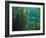 Monterey Bay Aquarium, Cannery Row, Monterey, Central California Coast, USA-Stuart Westmorland-Framed Photographic Print