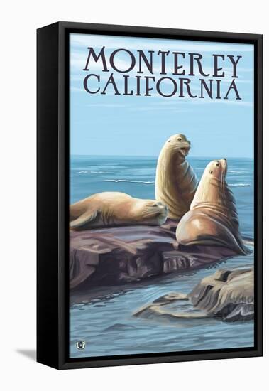 Monterey, California - Sea Lions-Lantern Press-Framed Stretched Canvas