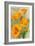 Monterey, California - State Flower - Poppy Flowers-Lantern Press-Framed Premium Giclee Print