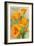 Monterey, California - State Flower - Poppy Flowers-Lantern Press-Framed Premium Giclee Print