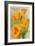 Monterey, California - State Flower - Poppy Flowers-Lantern Press-Framed Art Print