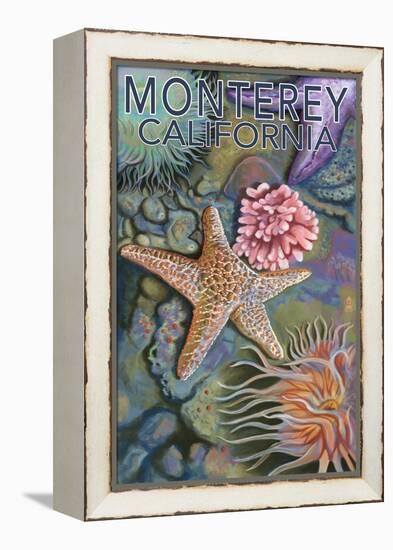 Monterey, California - Tidepool-Lantern Press-Framed Stretched Canvas