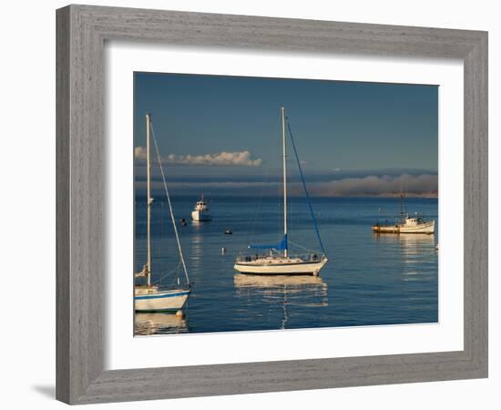 Monterey, California, United States of America, North America-Alan Copson-Framed Photographic Print