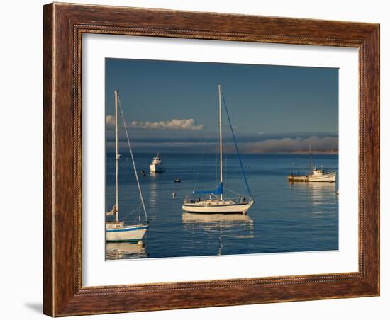 Monterey, California, United States of America, North America-Alan Copson-Framed Photographic Print