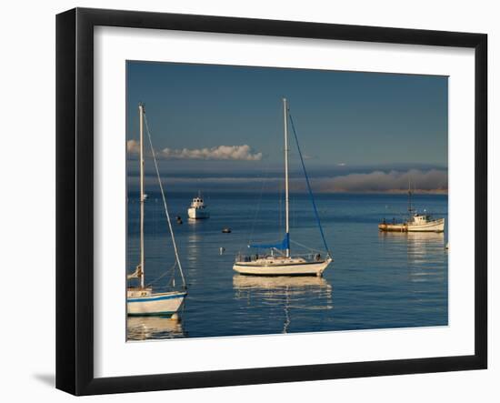 Monterey, California, United States of America, North America-Alan Copson-Framed Photographic Print