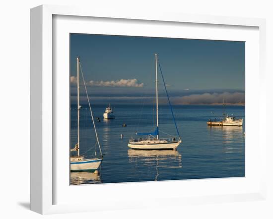 Monterey, California, United States of America, North America-Alan Copson-Framed Photographic Print