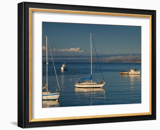 Monterey, California, United States of America, North America-Alan Copson-Framed Photographic Print