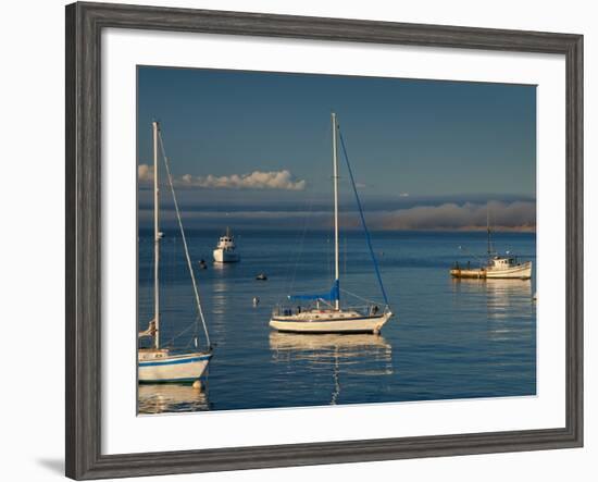 Monterey, California, United States of America, North America-Alan Copson-Framed Photographic Print