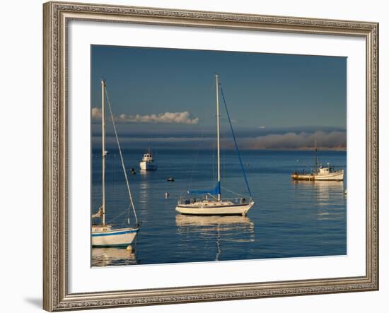 Monterey, California, United States of America, North America-Alan Copson-Framed Photographic Print