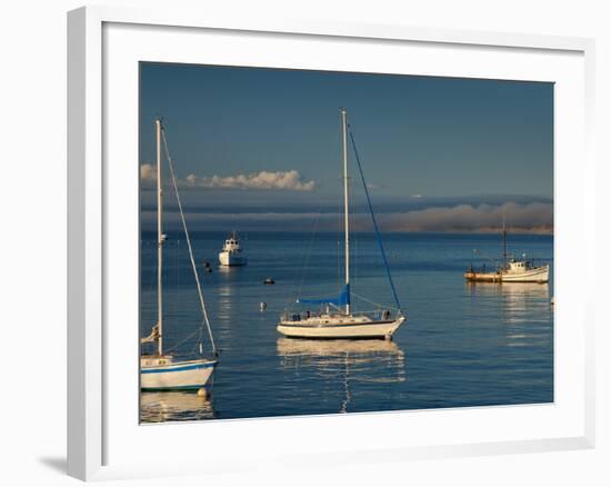 Monterey, California, United States of America, North America-Alan Copson-Framed Photographic Print