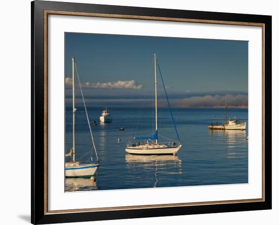 Monterey, California, United States of America, North America-Alan Copson-Framed Photographic Print