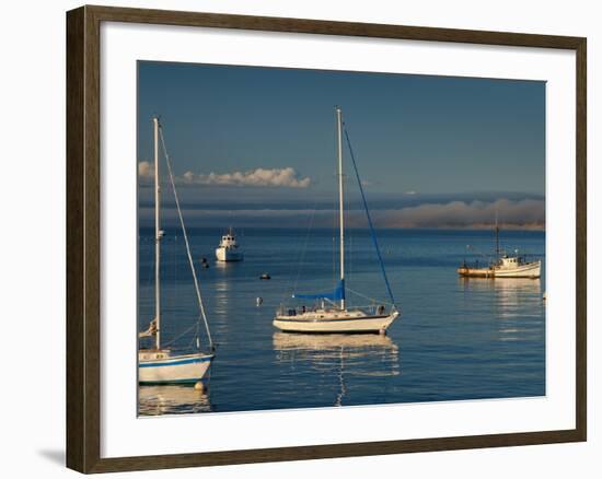 Monterey, California, United States of America, North America-Alan Copson-Framed Photographic Print