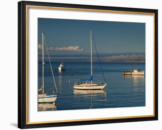 Monterey, California, United States of America, North America-Alan Copson-Framed Photographic Print