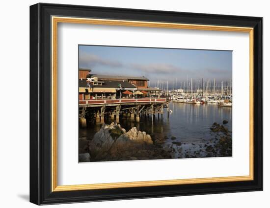 Monterey Docks and Fisherman's Wharf Restaurants-Stuart Black-Framed Photographic Print