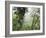 Monteverde Cloud Forest Reserve, Selvatura Adventure Park, Costa Rica-Jim Goldstein-Framed Photographic Print