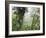 Monteverde Cloud Forest Reserve, Selvatura Adventure Park, Costa Rica-Jim Goldstein-Framed Photographic Print