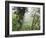 Monteverde Cloud Forest Reserve, Selvatura Adventure Park, Costa Rica-Jim Goldstein-Framed Photographic Print