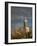 Montevideo, Punta Brava Lighthouse, Morning, Uruguay-Walter Bibikow-Framed Photographic Print