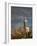 Montevideo, Punta Brava Lighthouse, Morning, Uruguay-Walter Bibikow-Framed Photographic Print