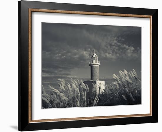 Montevideo, Punta Brava Lighthouse, Morning, Uruguay-Walter Bibikow-Framed Photographic Print