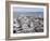 Montevideo, Uruguay-Stuart Westmoreland-Framed Photographic Print