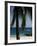 Montezuma Beach, Nicoya Peninsula, Costa Rica, Central America-Levy Yadid-Framed Photographic Print