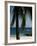 Montezuma Beach, Nicoya Peninsula, Costa Rica, Central America-Levy Yadid-Framed Photographic Print