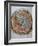 Montezuma Ii: Shield-null-Framed Photographic Print