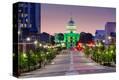 Stretched Canvas Print
