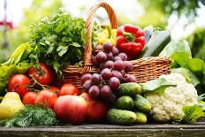 Fresh Organic Vegetables in Wicker Basket in the Garden-monticello-Photographic Print