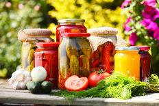 Jars Of Pickled Vegetables In The Garden. Marinated Food-monticello-Premier Image Canvas