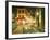 Montmartre, Paris, France-Roy Rainford-Framed Photographic Print