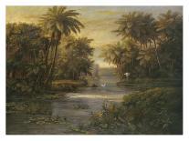 Lagoon at Daybreak-Montoya-Art Print