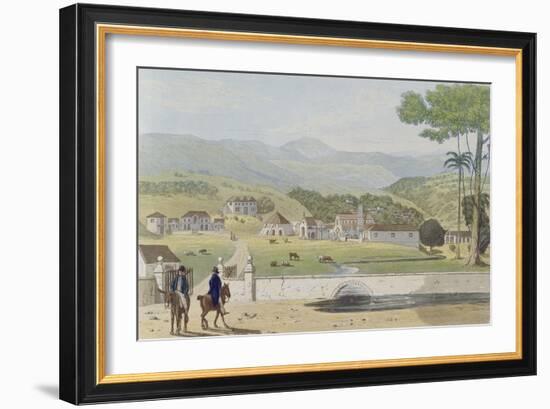 Montpelier Estates, St James, from 'A Picturesque Tour of the Island of Jamaica'-James Hakewill-Framed Giclee Print