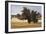 Montpellier Oak-Kent Lovelace-Framed Giclee Print