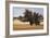 Montpellier Oak-Kent Lovelace-Framed Giclee Print