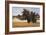 Montpellier Oak-Kent Lovelace-Framed Giclee Print