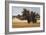 Montpellier Oak-Kent Lovelace-Framed Giclee Print