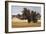 Montpellier Oak-Kent Lovelace-Framed Giclee Print