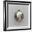 Montre-William Gib-Framed Giclee Print