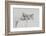 Monty, Sleepy Boy-Vincent Alexander Booth-Framed Photographic Print