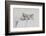 Monty, Sleepy Boy-Vincent Alexander Booth-Framed Photographic Print