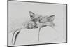 Monty, Sleepy Boy-Vincent Alexander Booth-Mounted Photographic Print