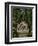 Monument to Cuban medical students executed by the Spanish in 1871, Havana, Cuba, c1920-Unknown-Framed Photographic Print