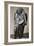 Monument to Honore' De Balzac-Auguste Rodin-Framed Giclee Print