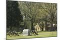 Photographic Print