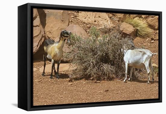 Monument Valley 17-Gordon Semmens-Framed Premier Image Canvas