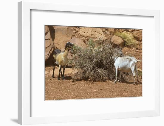 Monument Valley 17-Gordon Semmens-Framed Photographic Print