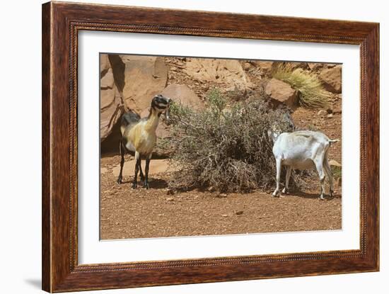 Monument Valley 17-Gordon Semmens-Framed Photographic Print