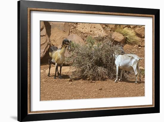 Monument Valley 17-Gordon Semmens-Framed Photographic Print